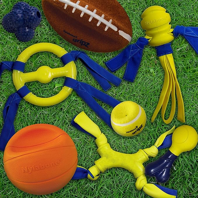 Nylabone Power Play Fling-a-Bounce Interactive Play Toy, Fetch Toy for Dogs, Large (1 Count)